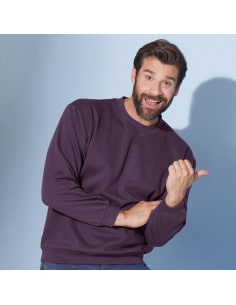 James & Nicholson Men's 300 gsm Round Neck Sweatshirt 2