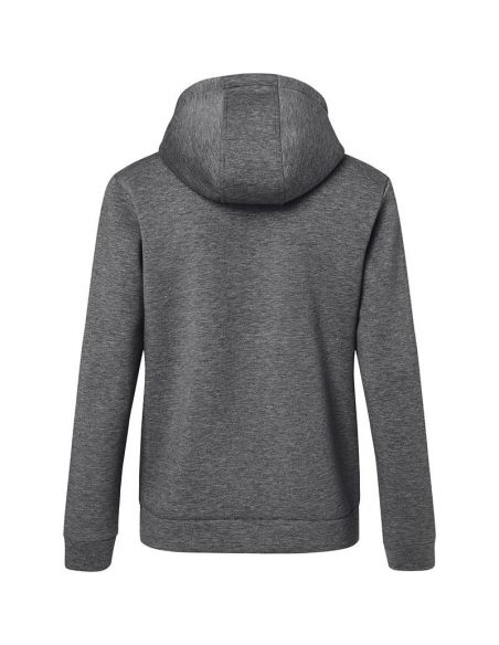 James & Nicholson Men's High Density Fleece Hooded Jacket