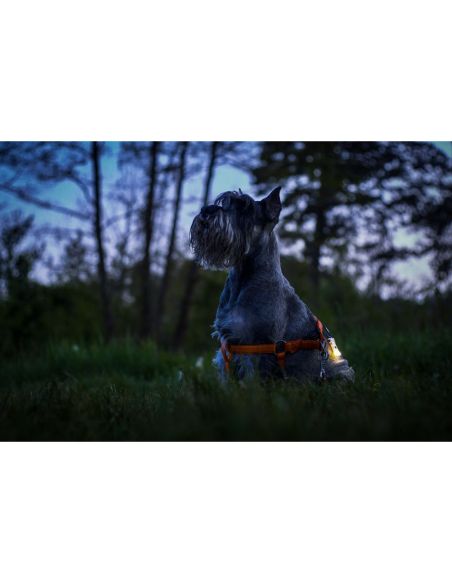 Lampe Armytek Zippy – Éclairage d’appoint légère & pratique – portée de 15 m